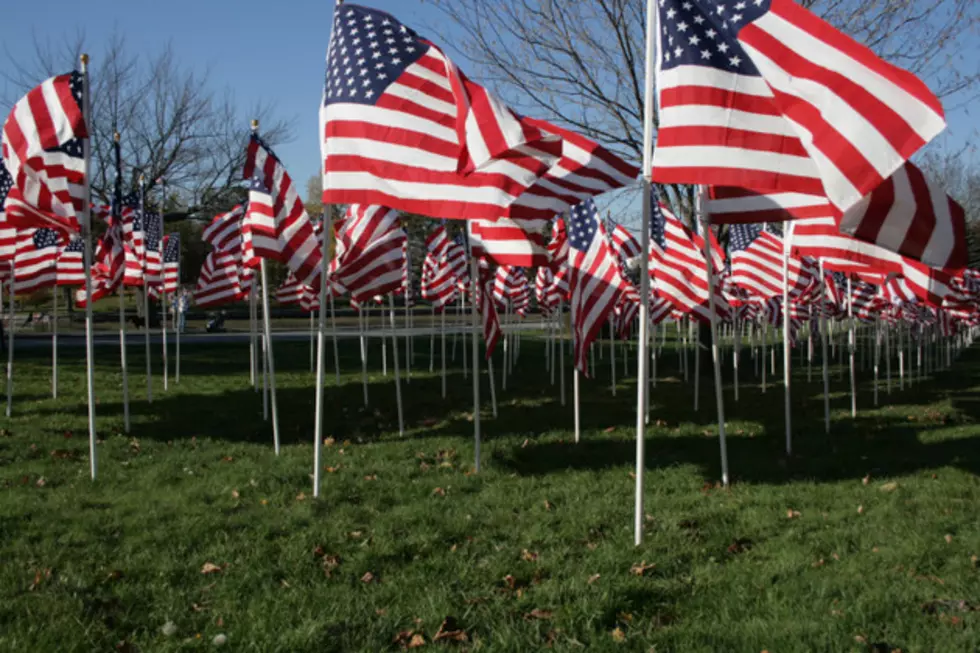 Local Veterans Day Events