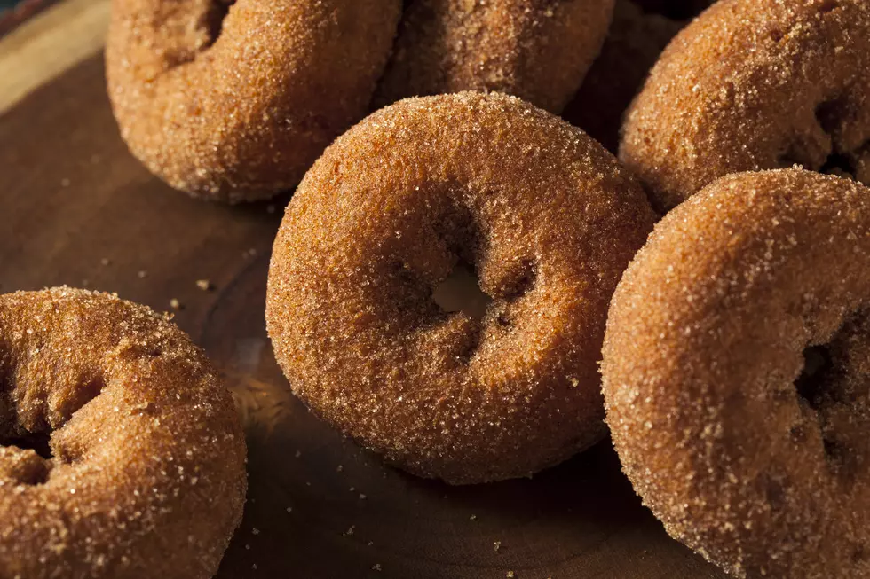 New Paltz Regatta AND Cider Donuts?  Solid Ulster County Sunday!