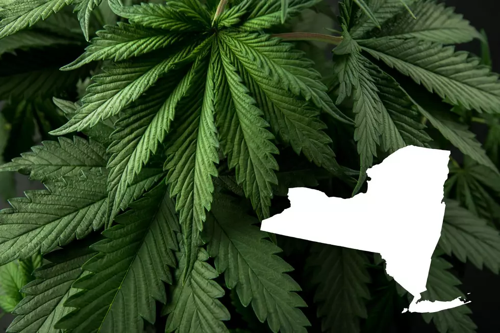 Dutchess Roots Breaks Ground as Town of Poughkeepsie’s First Licensed Cannabis Dispensary