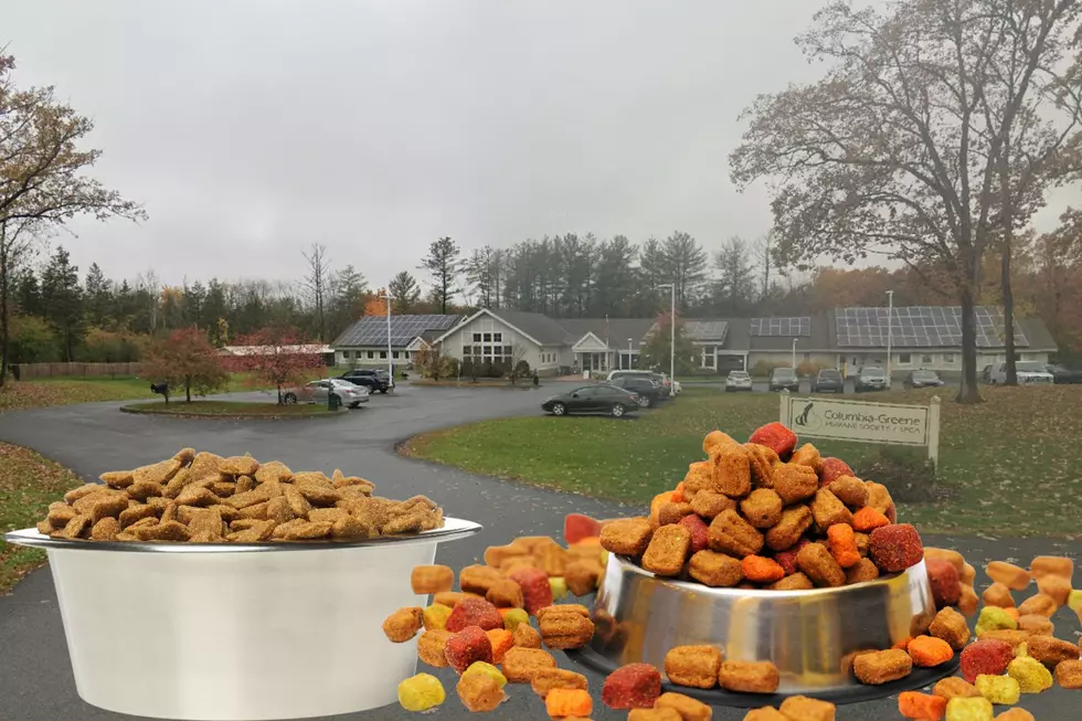 Where to Get Free Dog and Cat Food in the Hudson Valley