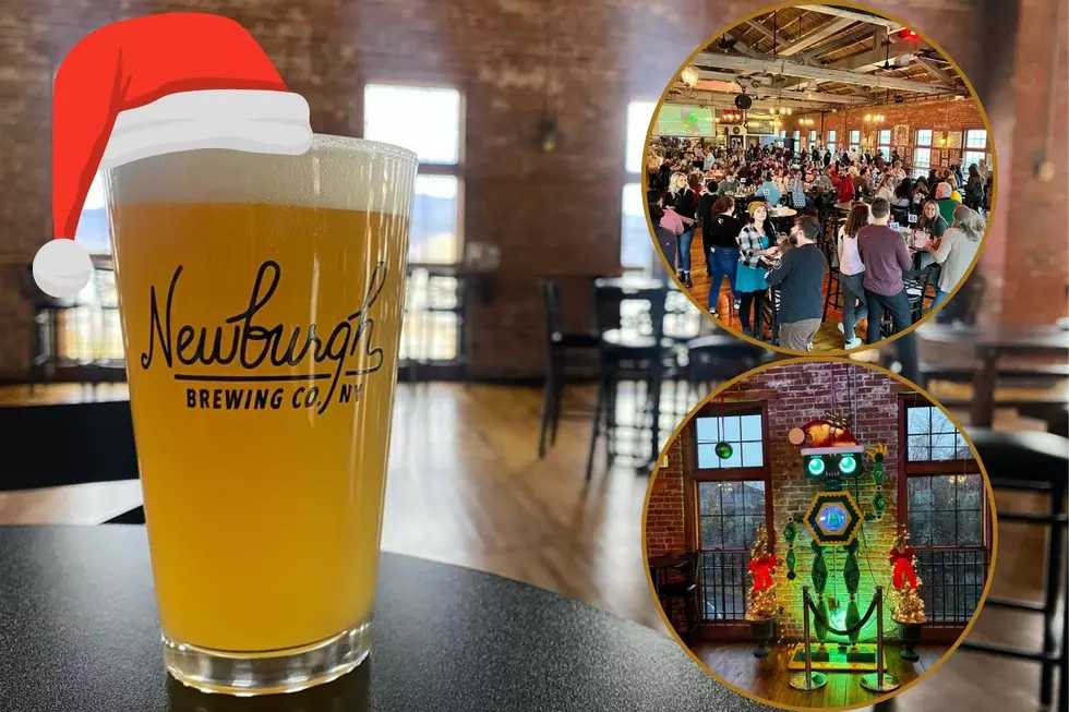 Sunday Funday For An Awesome Cause at Newburgh Brewing