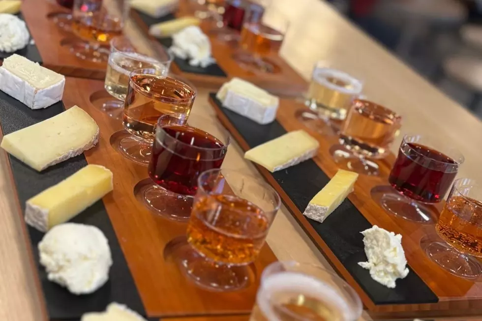 25 Dog Friendly Wineries and Breweries in the Hudson Valley