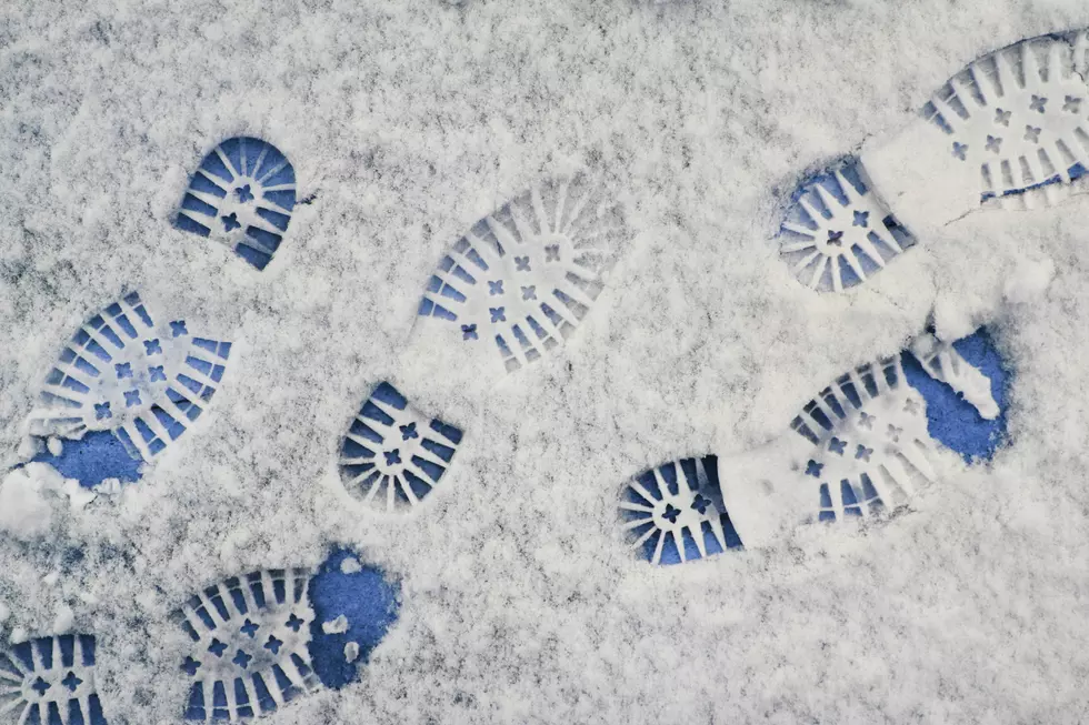 It Snowed in Many Parts of the Hudson Valley Monday