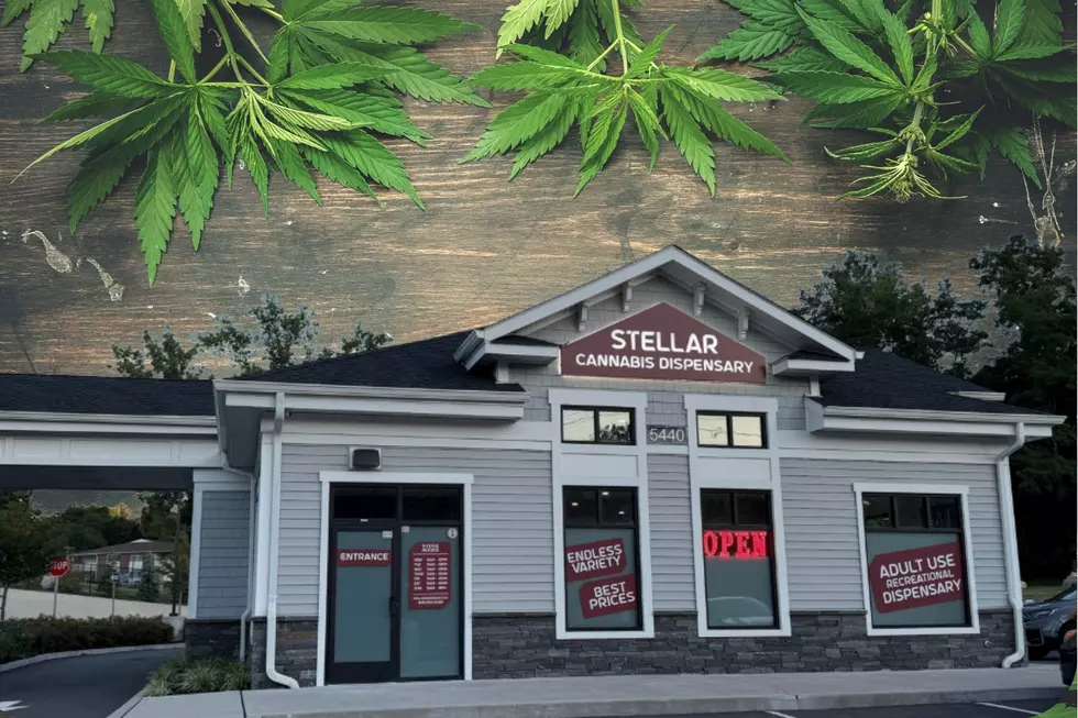 Get ready for 4/20 at Stellar Cannabis on 9W in Newburgh!