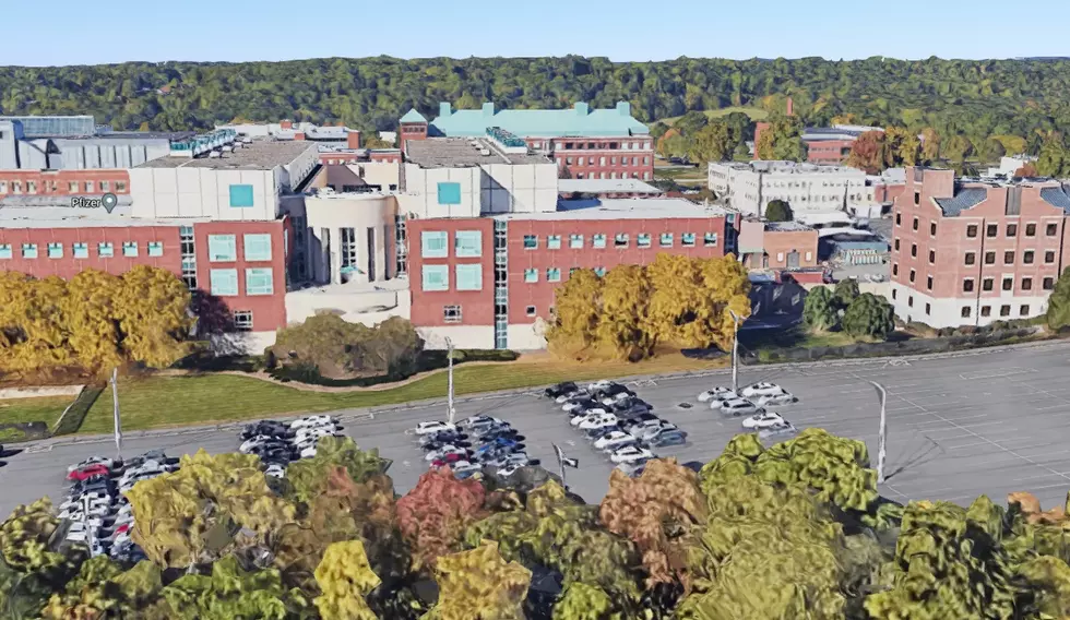 Worldwide Hope for COVID-19 Vaccine From Mid-Hudson Region