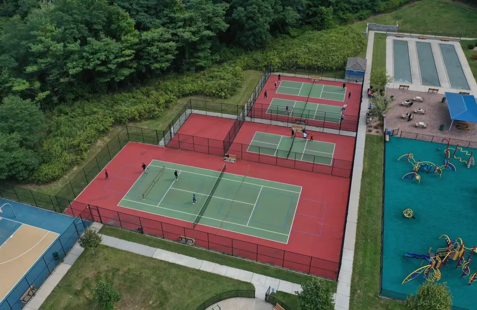 New York: 6 Key Words all New Pickleball Players Need to Know