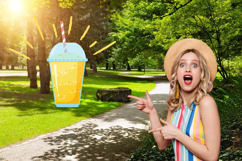 Hudson Valley Made Liquid Sunshine Is This Years Drink Of The Summer
